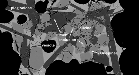 Backscattered electron image of a plagioclase+olivine glomerocryst